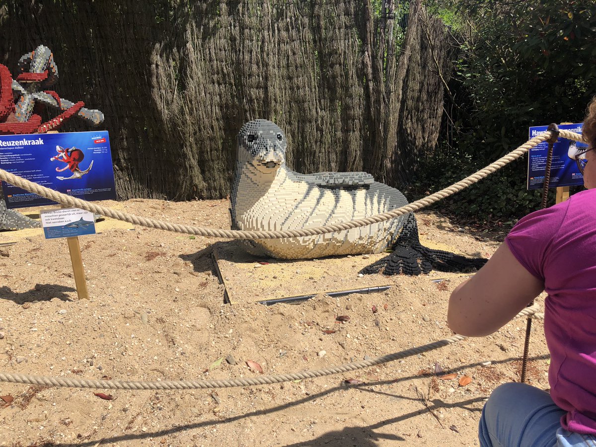 robkeultjes's tweet photo. π#burgerszoo #oceanbricks @burgerszoo https://t.co/3r6EIUaRec