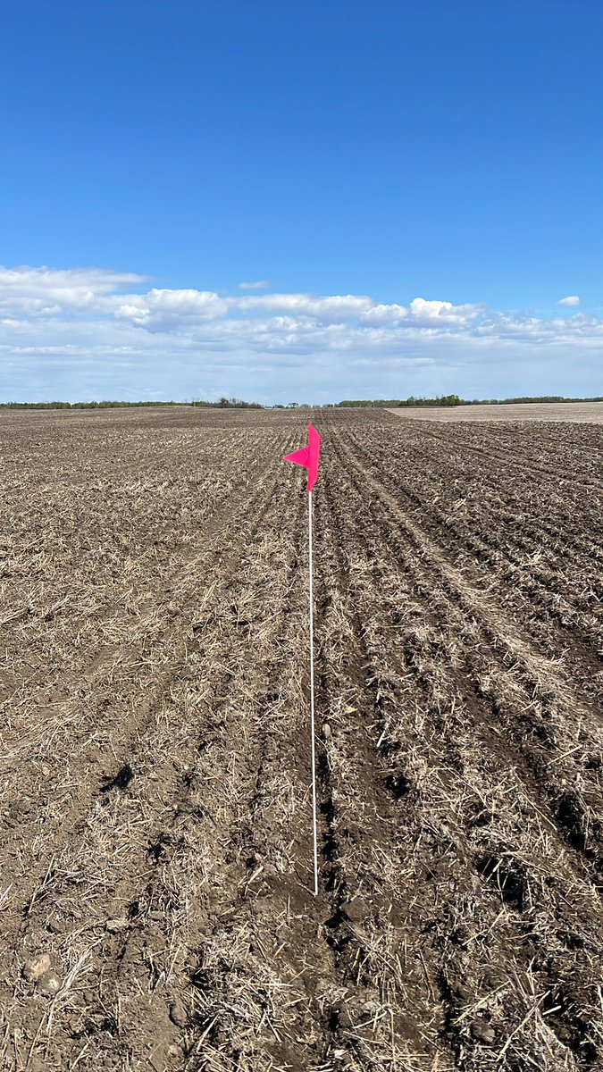 _GMunholland's tweet photo. Last year I had some flags in a field for a trial and some neighbours asked why they were there. So now I just put them up randomly https://t.co/UJkj8KQ78p