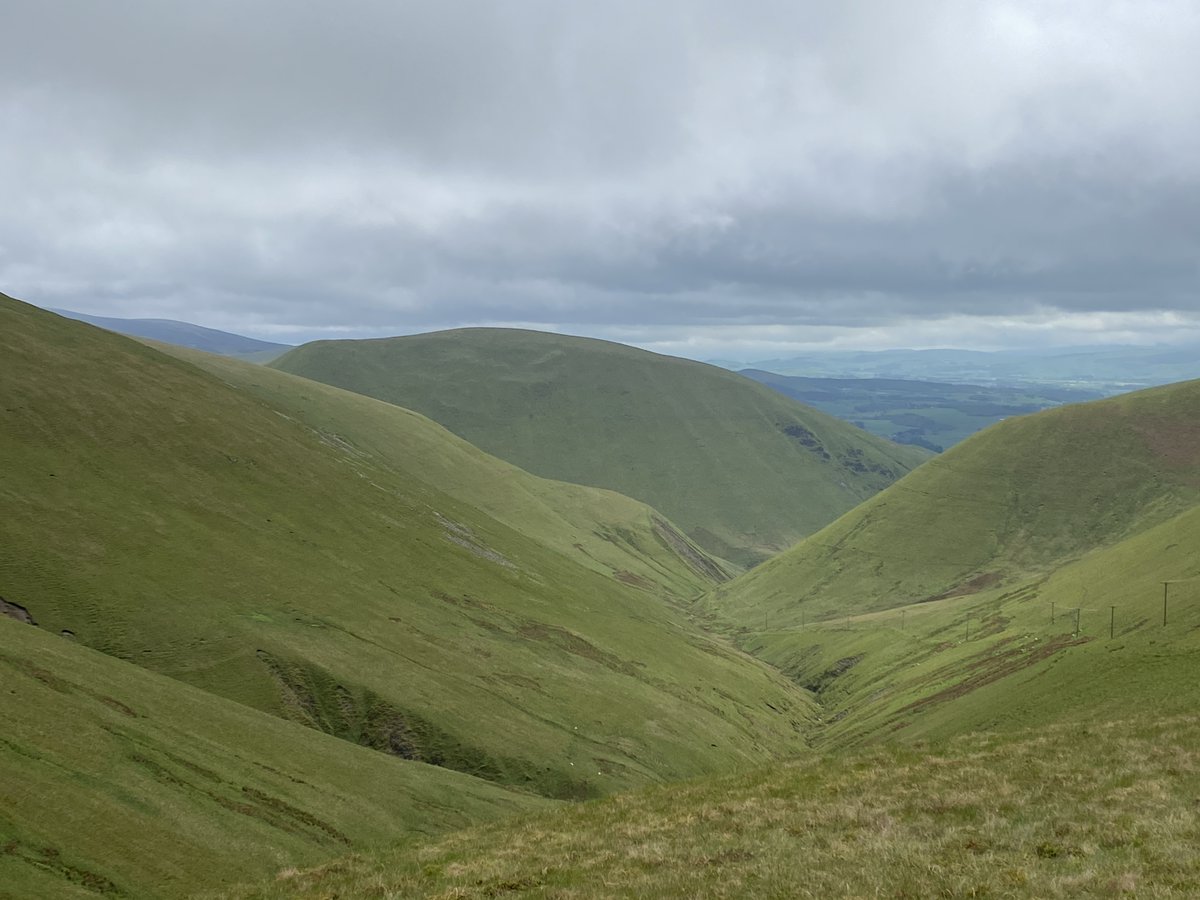 Hiked for 5 hours today. Didn’t see a single native tree and very little wildlife. We simply don’t need to farm every inch of our land.
