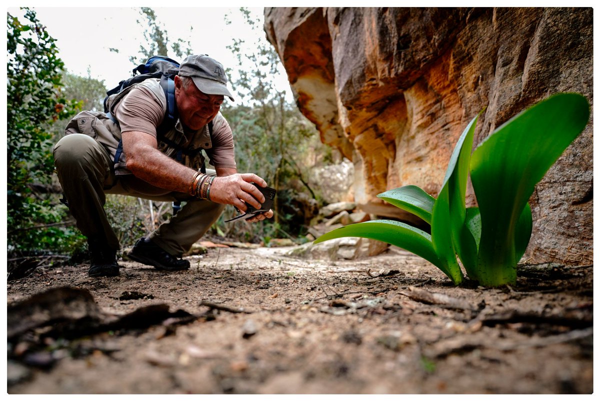 JacqMaraisPhoto's tweet photo. How diverse is @visitNWC? Our @isuzusa #BOLDventure may give you an inkling 💥🙌

@MonikadeJager @4Megaworld
@PerdebergMotors @domrimmer
@NorthernCapeSA @escape_gear @Dunloptyres_SA @WestCoastRSA @gotravelbug @KarooHeartland @Diverge_info @LungzN 

#isuzusa #namaqua #Westcoast https://t.co/q5xbzXkc3P