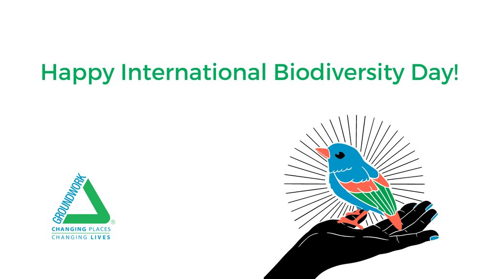 Happy #BiodiversityDay! 
¡Feliz Día de la Biodiversidad!
At Groundwork USA, we are Building a Shared Future for All Life! 💚
Learn more: groundworkusa.org/focus-areas/ 

<a href="/UNBiodiversity/">UN Biodiversity</a> #changingplaces #internationalbiodiversityday