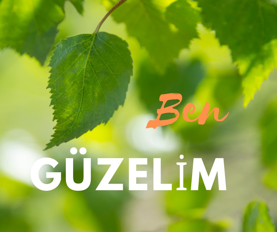 EVET