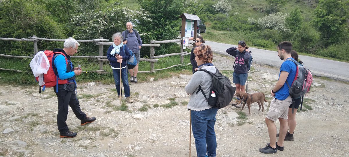 PARCO_AVETO's tweet photo. Altra splendida giornata naturalistica al #PiandOneto, tra i fiori dell'altopiano, a "caccia" (incruenta) di #apiselvatiche e altri #impollinatori, guidati con competenza da Claudio Bellantuoni, che  ha spiegato differenze di forme e di comportamento degli insetti impollinatori https://t.co/pTk0oNIdn4
