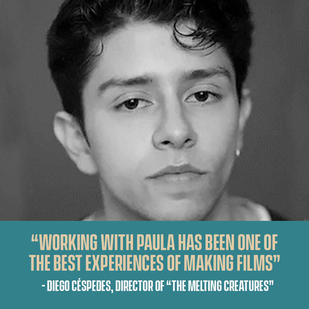 Cinemachile tweet media