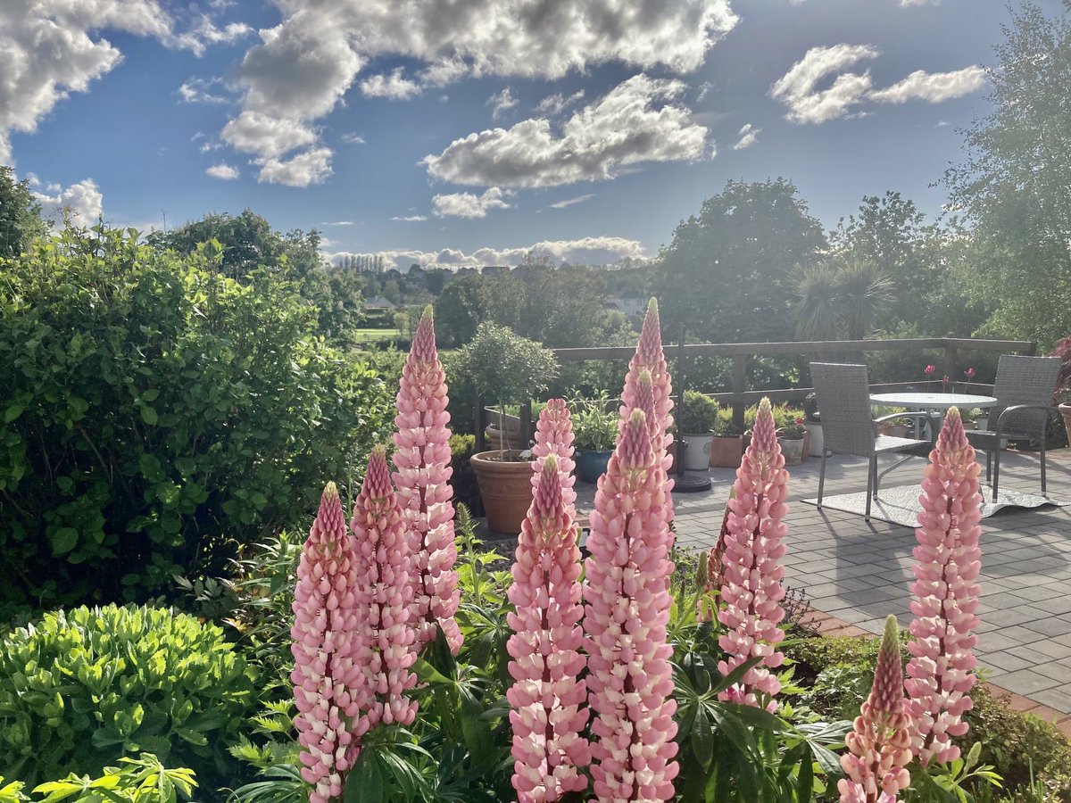 Kevin Foley tweet media