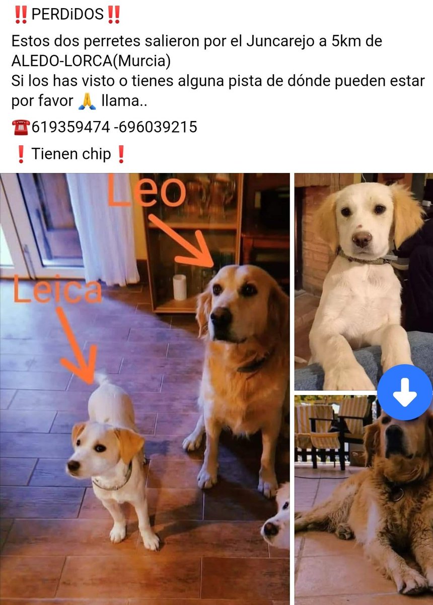 martaaloe's tweet photo. Por favor difundir. https://t.co/xWIr2xM2XX