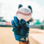 Photo by Robinson Cano (@RobinsonCano)