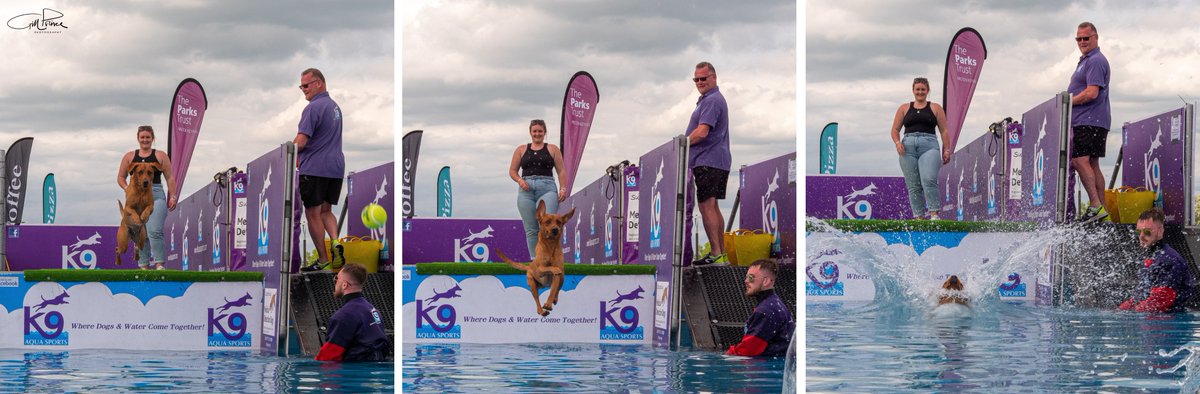 Really pleased we made it to the #bigdoggiedo <a href="/willenlake/">Willen Lake</a> this afternoon 🙂 I could've watched the dogs jumping into the pool all day! What a brilliant event from <a href="/TheParksTrust/">The Parks Trust</a> - <a href="/K9aquasports/">K9 Aqua Sports</a> <a href="/scenesfromMK/">scenesfromMK</a> <a href="/DestinationMK/">DestinationMK🎈</a> <a href="/mkfuturenow/">Milton Keynes Future</a> #LoveMK #LoveMKCity #LoveDogs #K9AquaSports