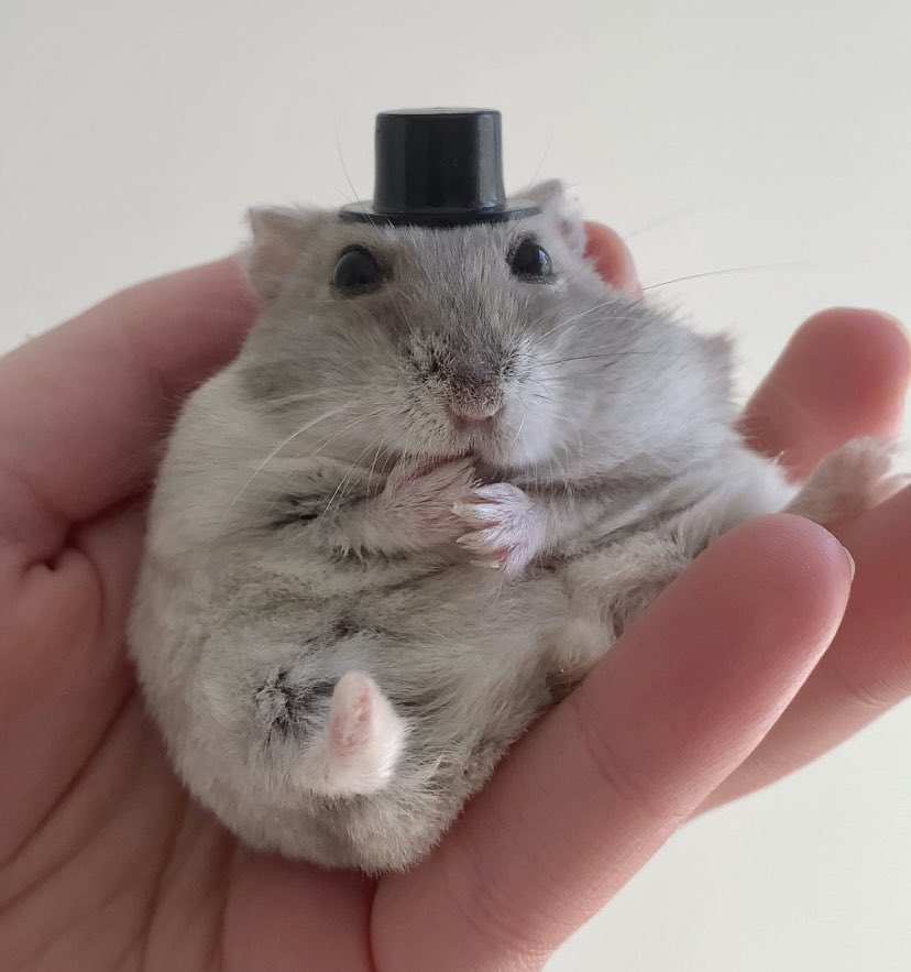 i’m so happy i got this high quality shot of him for his linkedin profile