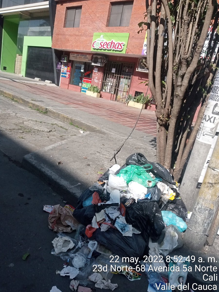 JAC San Vicente Versalles tweet media