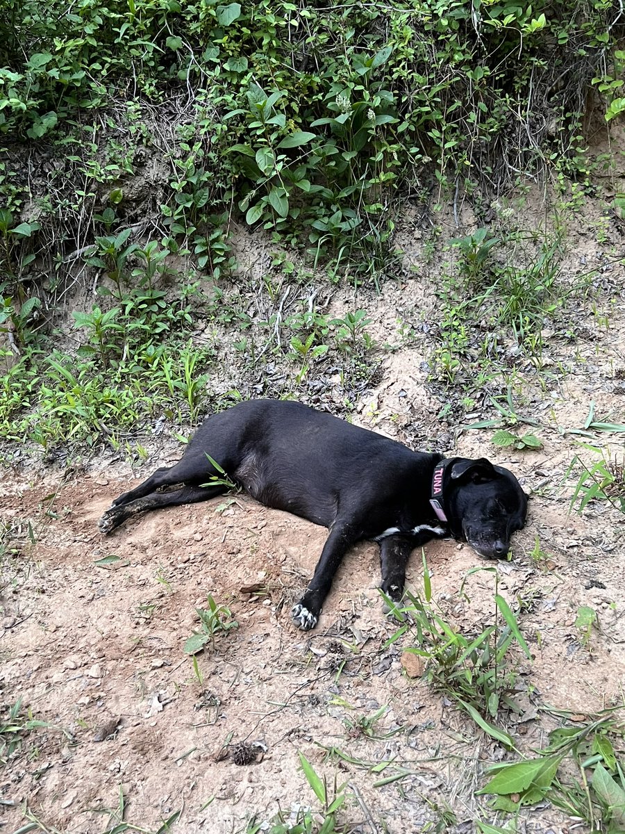 Mrs. Mitchell tweet media