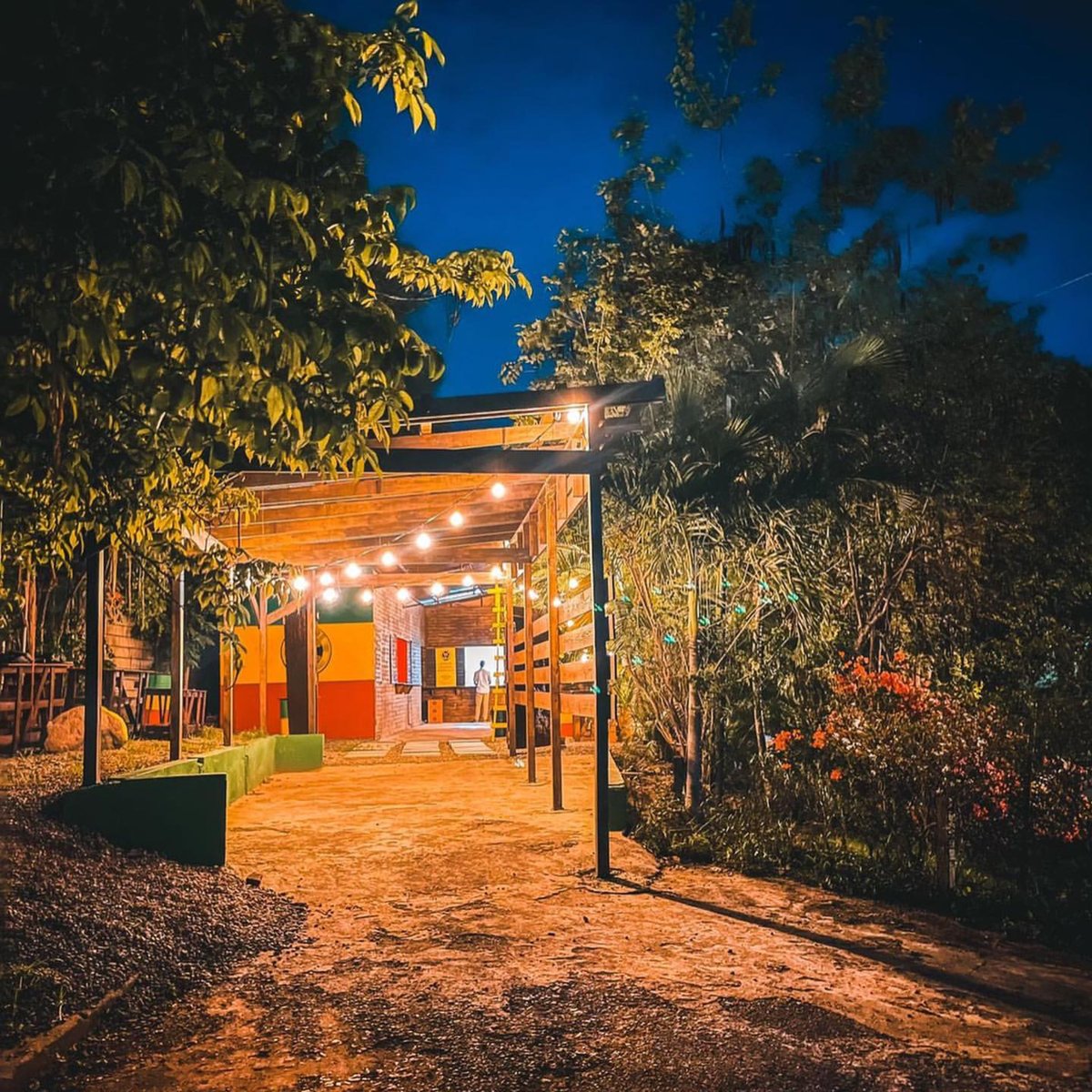 Alexa play “Somewhere Wonderful” by <a href="/RasI_Musique/">cyan feel no waaaAAaaayyyy⛰️⛰️⛰️🇪🇹🇪🇹🇪🇹</a> ✨ We’re in love with this photo by #CheckOutJamaica 😍your 3rd @ has to take you to our cafe! #dubwisejamaica #dubwisecafe