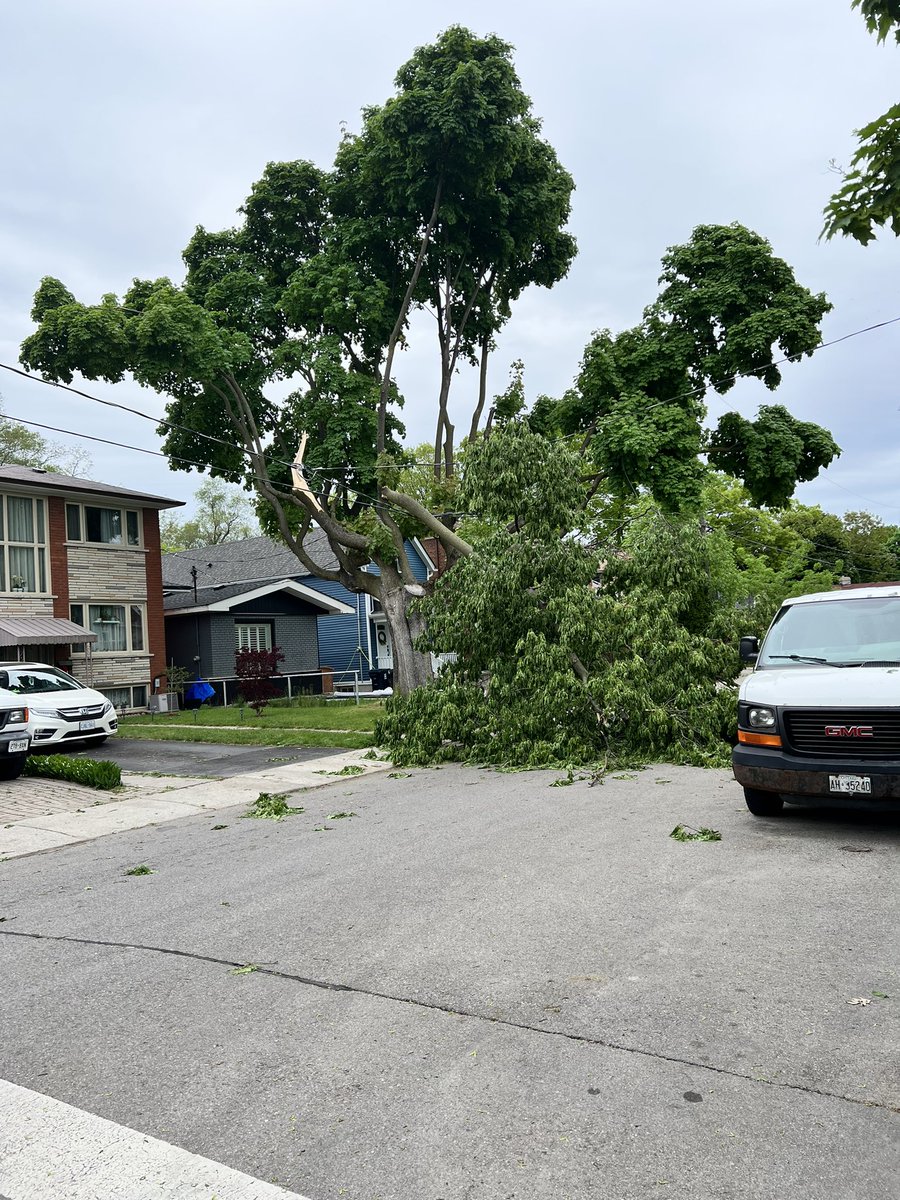 HerotheFuzz's tweet photo. @JohnTory @cityoftoronto @TorontoHydro @FrancesNunziata @FaisalHassanNDP @311Toronto @tofire Corner Bexley Crescent and Pendeen Avenue. M6N #torontostorm #poweroutage No power going on 25 hours the branch is sitting on the wire like a human on a tight rope ready to snap. https://t.co/ujA4H0WB3f