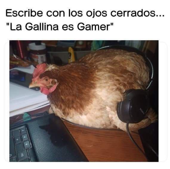 irnelito tweet media