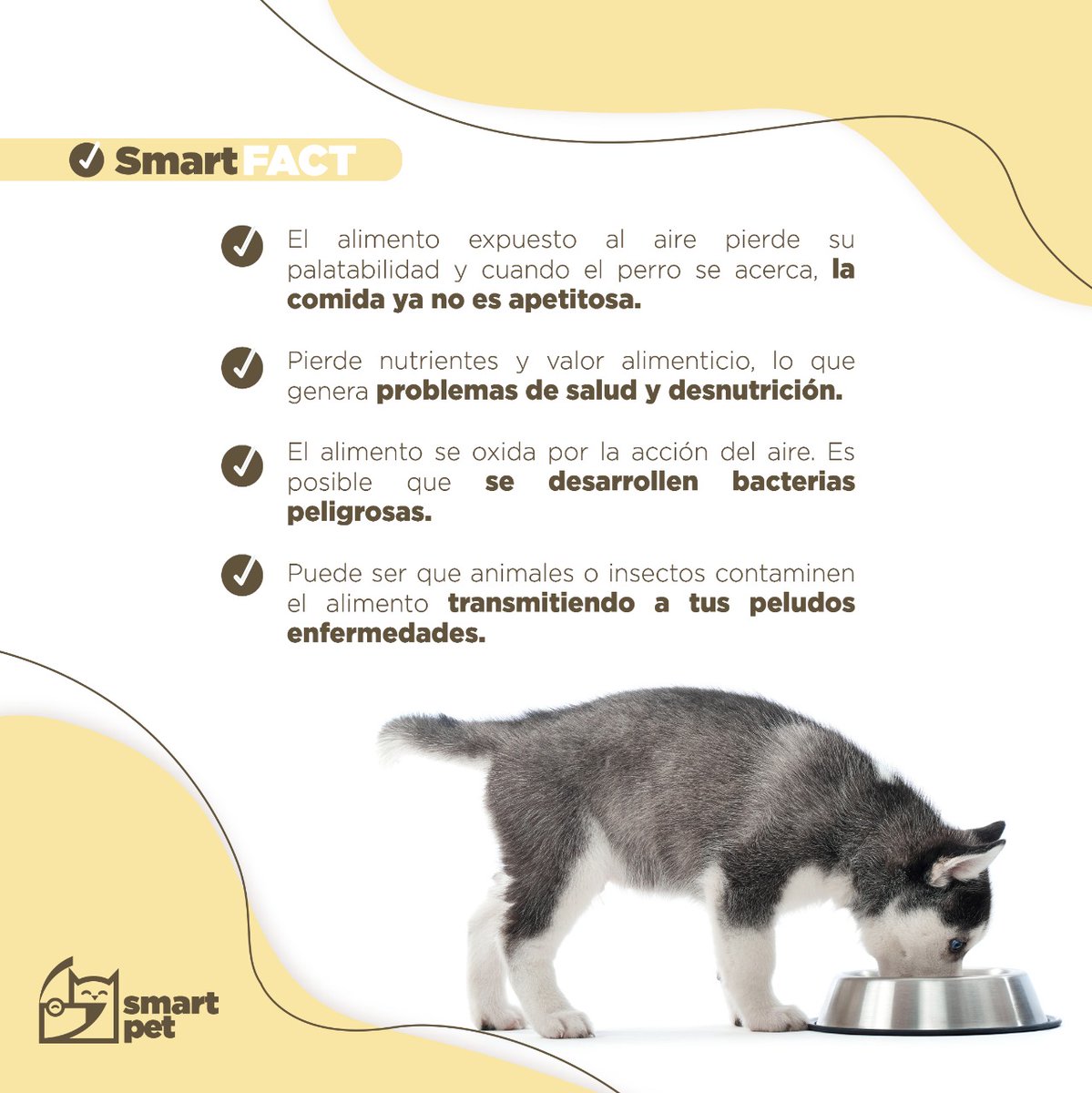 smartpetsv's tweet photo. ¿Acostumbras dejar la comida en el pato de tu perro o gato? Aquí te compartimos información que debes de considerar 😯😬 #SmartFact #TheLifeOfASmartPet #SmartCommunity https://t.co/9egtUZ4sY3
