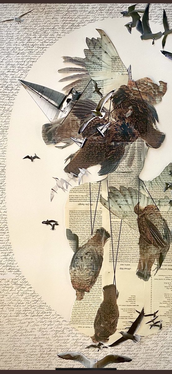 Starting to build up #somedaynfts