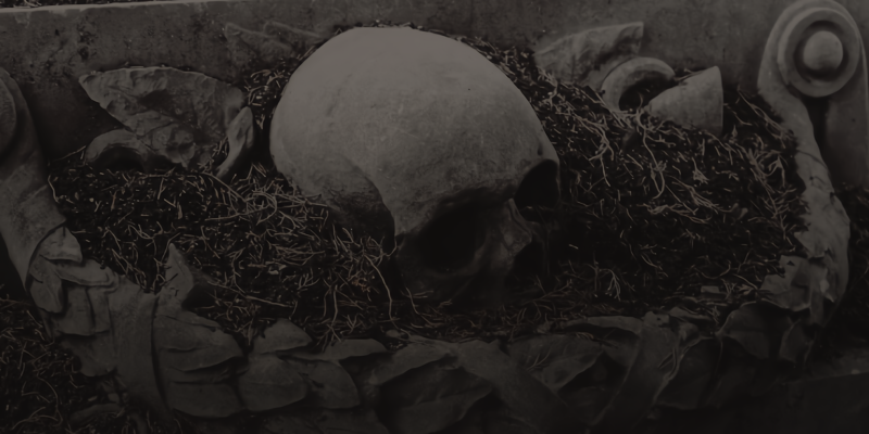 THXAPOCRYPHAL's tweet photo. ❝Tyger Tyger, burning bright, 
In the forests of the night; 
What immortal hand or eye, 
Could frame thy fearful symmetry?❞ https://t.co/ttCsrTqhPw