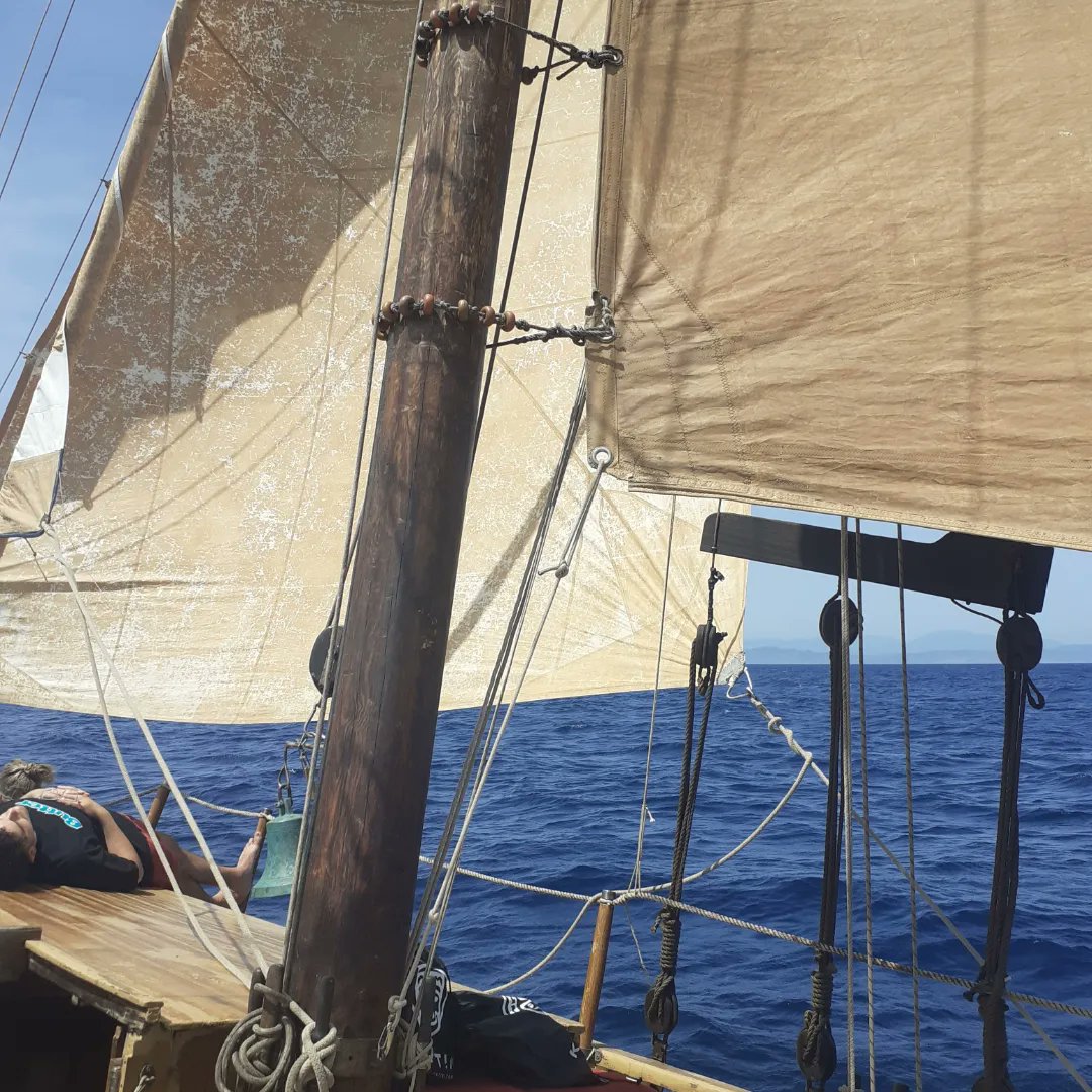 hector_sg90's tweet photo. Poder gaudir de la immensitat d'aquests cetacis de tan a prop, és una de les experiències més gratificants que he viscut. #sailboat #sunny https://t.co/mGPRKOosSh