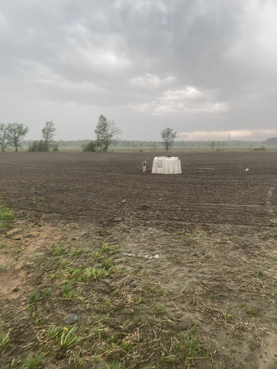 Definitely had other plans this weekend. All the calves were saved!