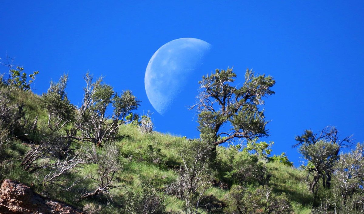 RepAngelaRomero's tweet photo. My naturing partner is back from Nepal! Check out the pictures he took from our morning hike. #naturing #morningwalk #beautifulutah https://t.co/AgywK00exb
