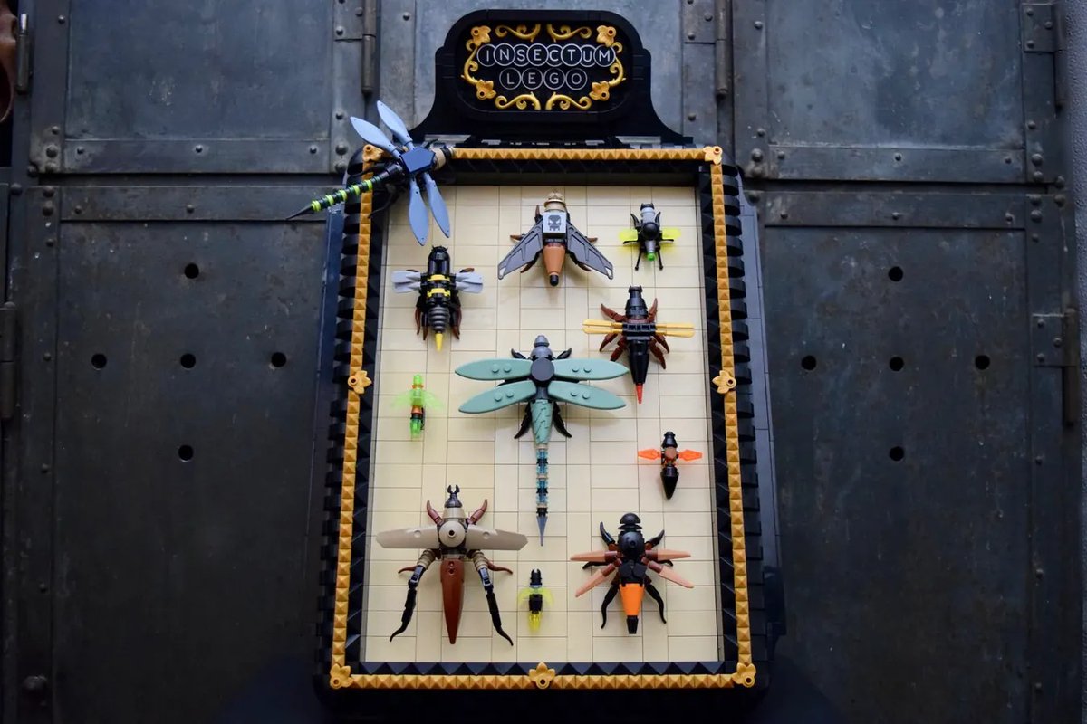 LEGOIdeas's tweet image. A selection of Lego flying insects by MarcoIntothewild is today's Staff Pick! 🪰 

Do you recognize any of the insects built here?

Full details: ideas.lego.com/projects/8ede1… #LEGOIdeas