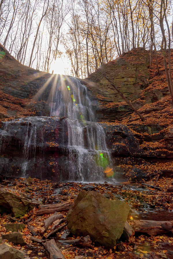 jrtwynam's tweet photo. The sun tops the cliff where #ShermanFalls in #Hamilton cascades down into the #stream below, surrounded by colourful fallen #Autumn leaves in #Ontario.
https://t.co/I77bu22z12
#BuyIntoArt #Prints #PrintsForSale https://t.co/g4yFrDFjtD