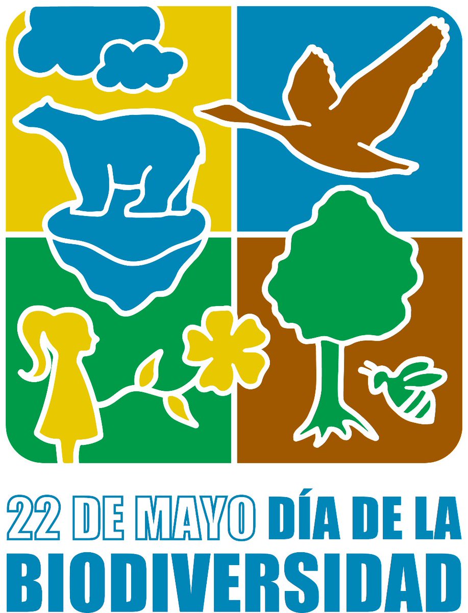 inst_humboldt's tweet photo. Hoy celebramos una fecha muy especial. El #DíadelaDiversidadBiológica. Este año lo hacemos con un mensaje poderoso: Construir un futuro compartido para todas las formas de vida. https://t.co/sXEDW6vdUl