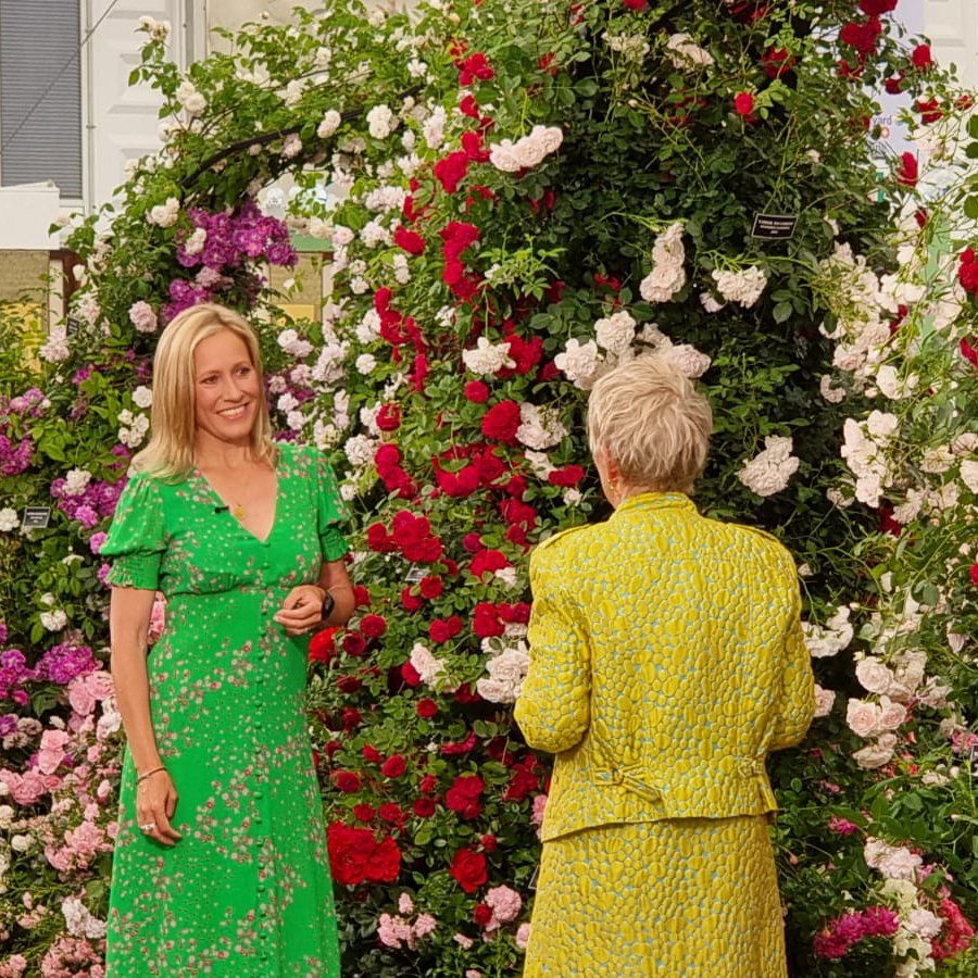 Did anyone spot us on TV this evening on the RHS Chelsea Flower Show 2022 on BBC One?
It was wonderful to see <a href="/CarolKlein/">Carol Klein</a> &amp; <a href="/sophieraworth/">sophieraworth</a> filming on our stand &amp; Ian had the opportunity to show Sophie one of our new roses, 'Oxford Physic Rose'.
#rhschelsea #RHSChelseaFlowerShow