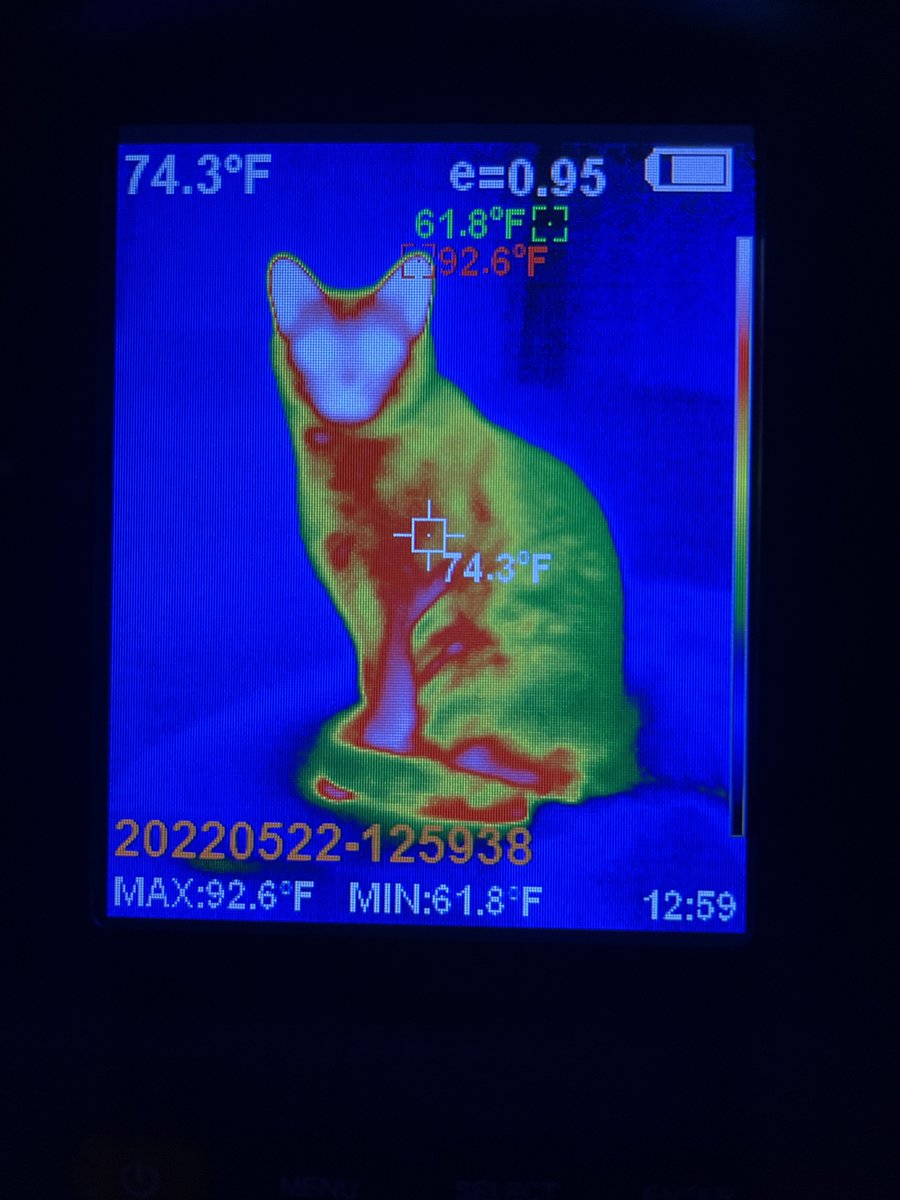 Mallory Eeeeeeee tweet media