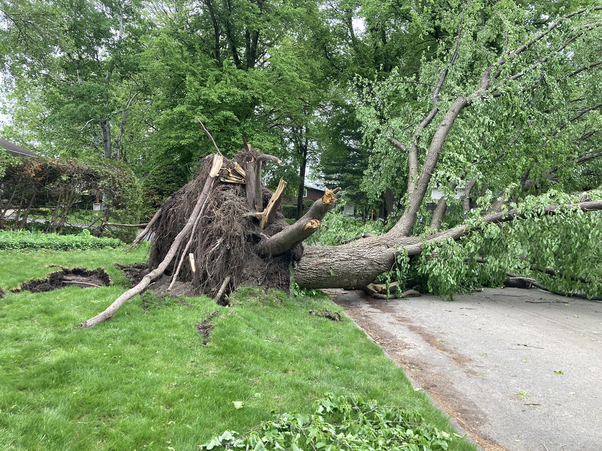 jflegault792's tweet photo. Aftermath of Saturday’s storm in Ottawa - Alta Vista @ctvottawa https://t.co/LF4wsniH8R