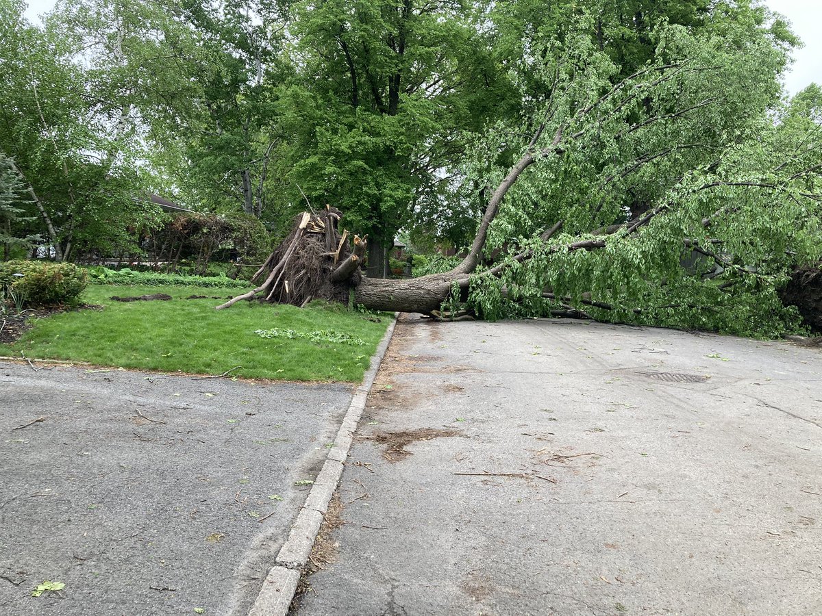 jflegault792's tweet photo. Aftermath of Saturday’s storm in Ottawa - Alta Vista @ctvottawa https://t.co/LF4wsniH8R