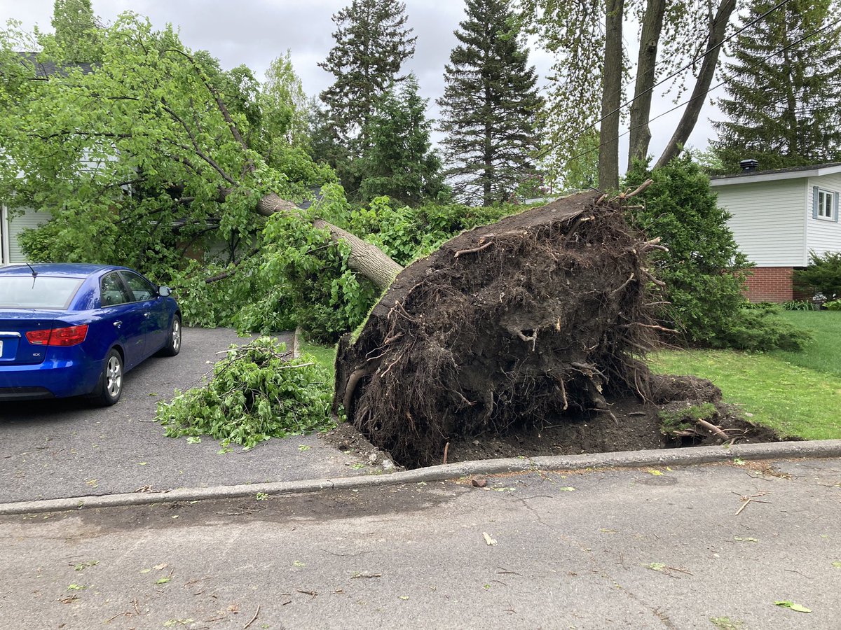 jflegault792's tweet photo. Aftermath of Saturday’s storm in Ottawa - Alta Vista @ctvottawa https://t.co/LF4wsniH8R