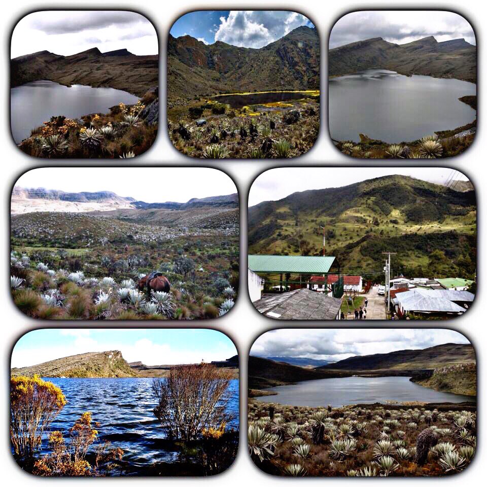 #QuoteOfTheDay "La clave de la vida la tienen los domingos y el olor a campo". <a href="/elvirasastre/">elvira sastre sanz</a> #ElviraSastre #Sumapaz #Colombia #Bogotá #Domingo #Sunday