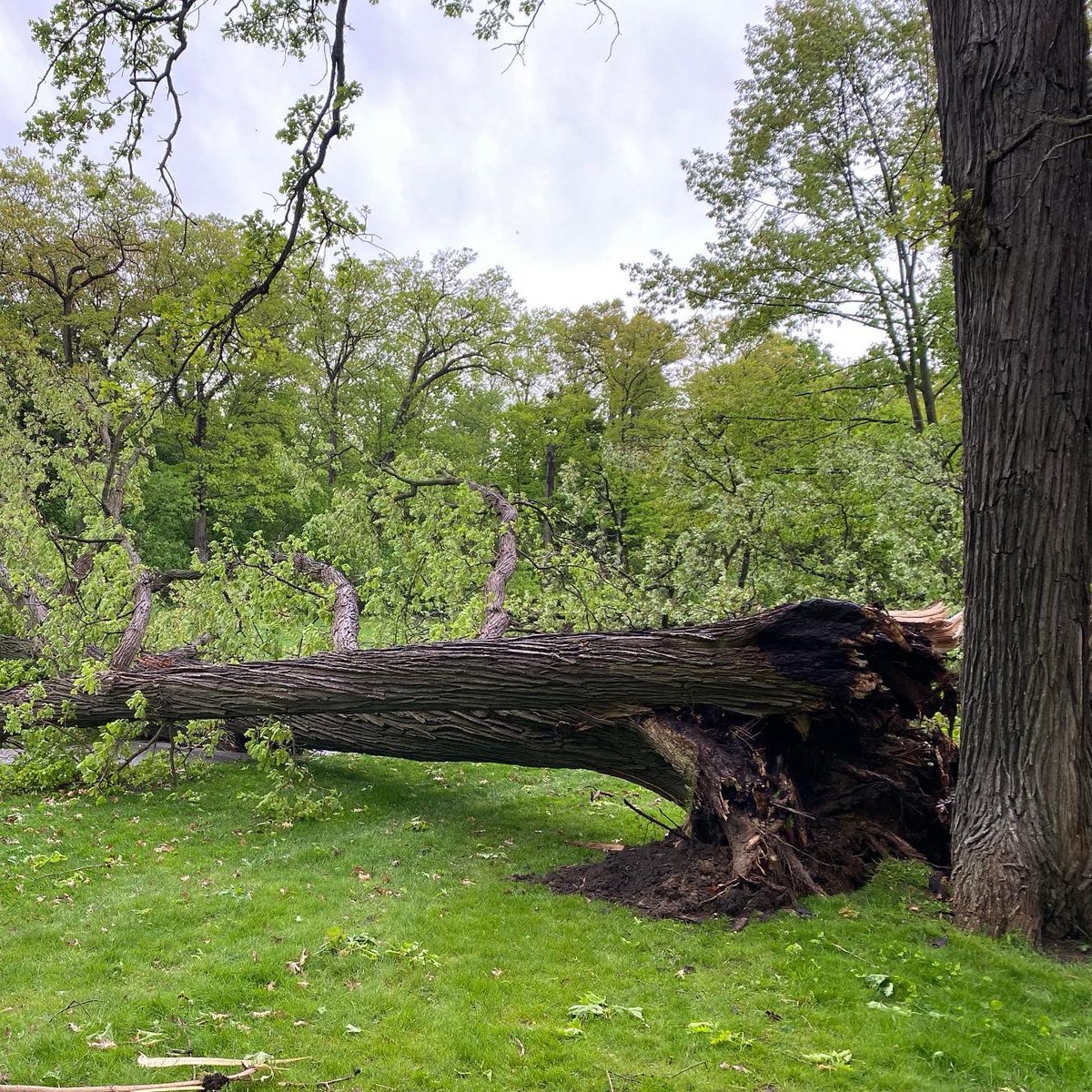 Lambton Golf & Country Club tweet media