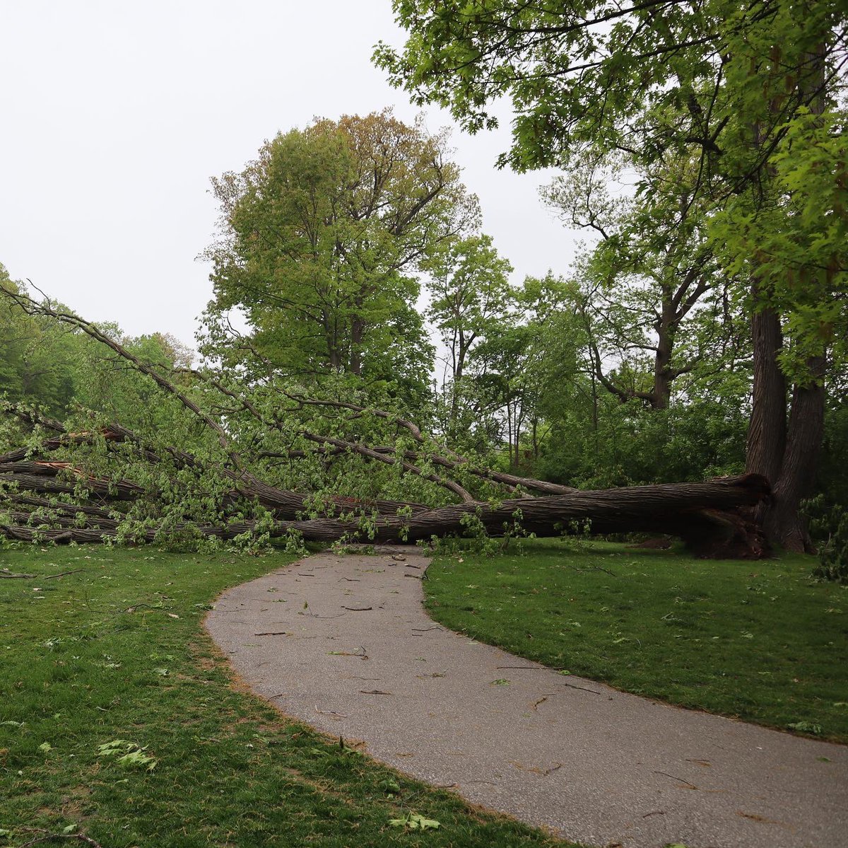 Lambton Golf & Country Club tweet media