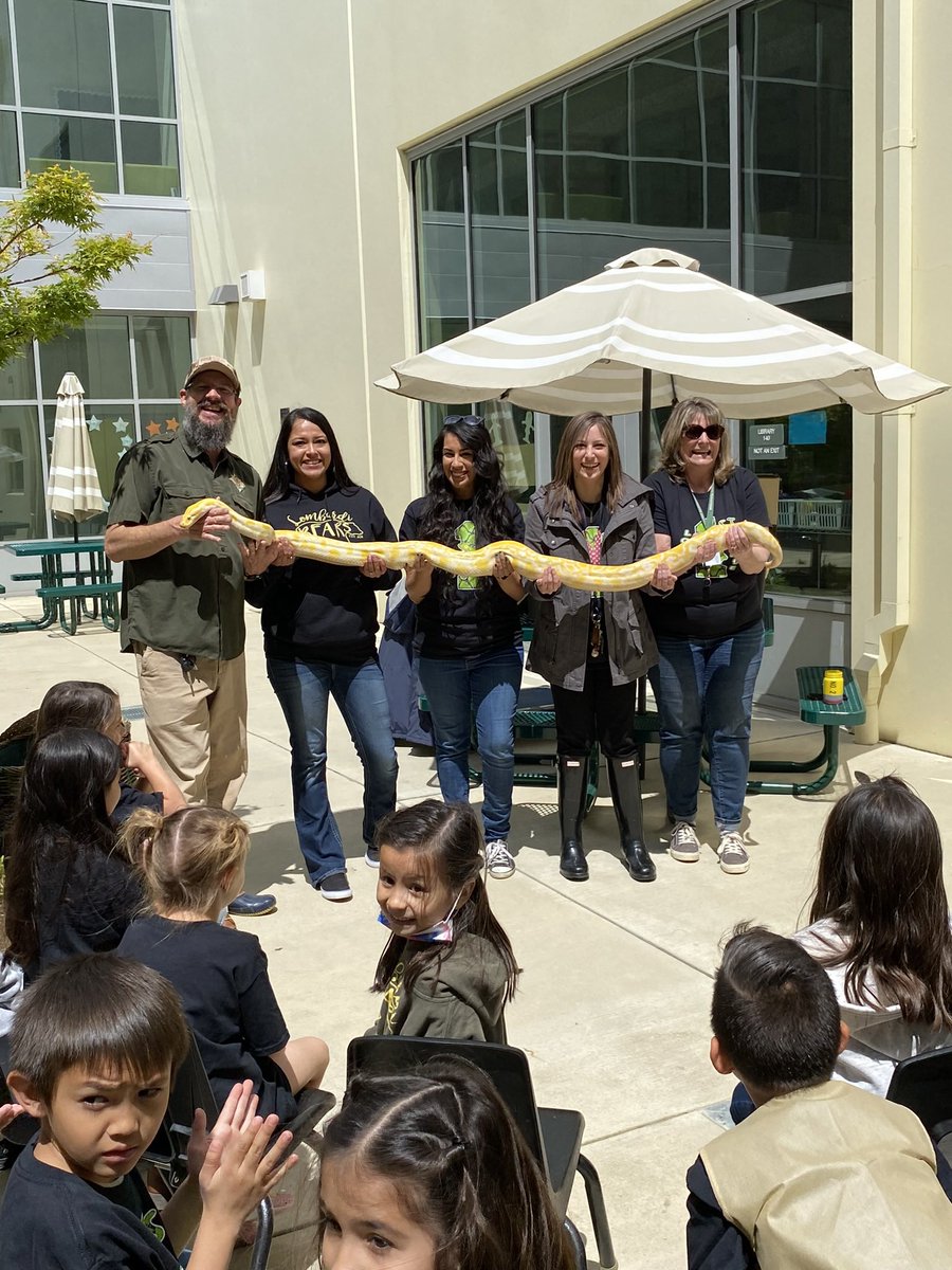 First grade reptile experience in April 🐍🦎 Even the first grade teachers had some fun with the yellow snake  🐍 <a href="/lombardibears/">SCA Lombardi</a>