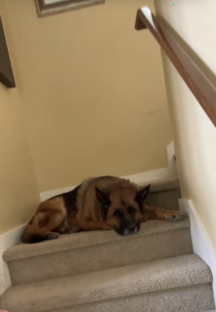 shadowbogati's tweet photo. my favorite spot https://t.co/85ljudsAsG