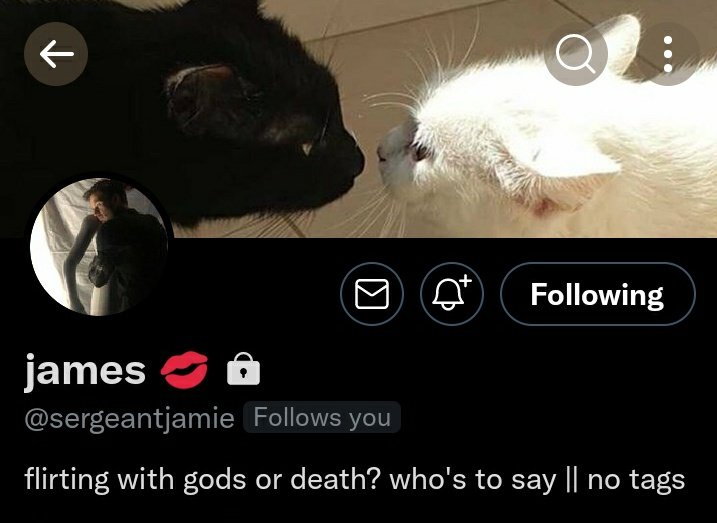 How about both ? @sergeantjamie