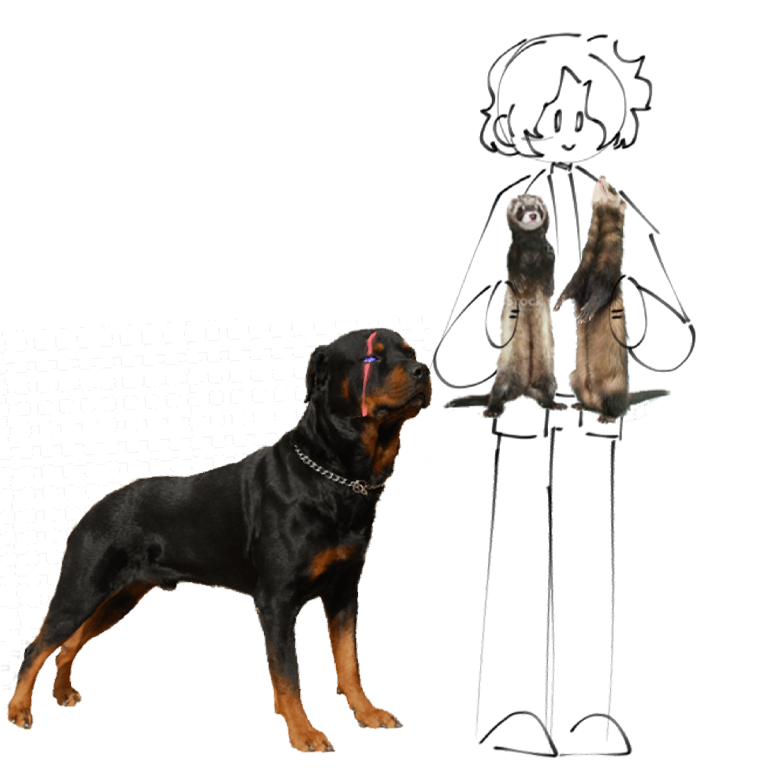 colleisflower's tweet photo. The dog idea was stolen from West <3 (@DetectiveNorth)
Anyways pets✨
i love ferrets so i give sash ferrets!
Their names are Percy and Braddock
also the dog is grime✨

________
#sashawaybright #futuresasha #amphibia #dog #ferret https://t.co/SnjLFHKQUu