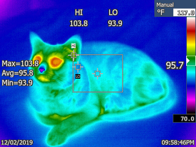 Tony Fernando tweet media