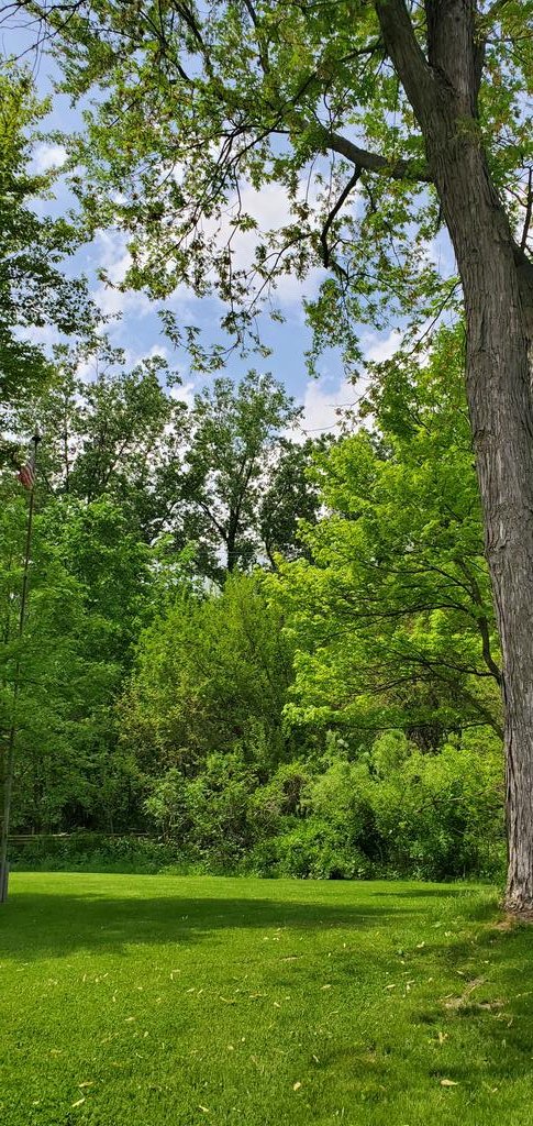 Beautiful day in the neighborhood. 🍃💚🍃