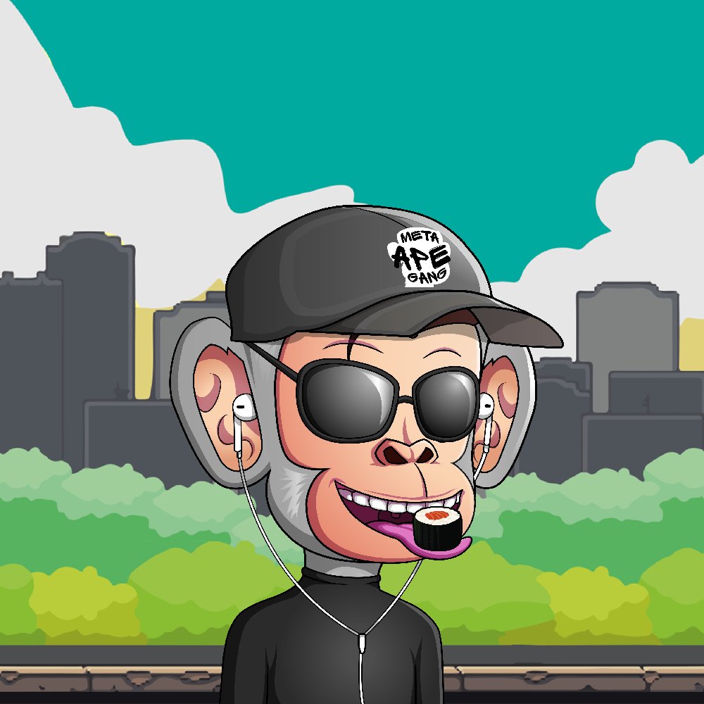 BoHaidarz tweet media