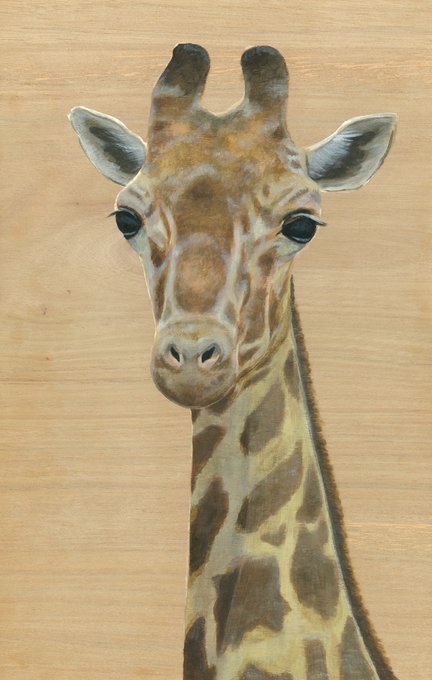 キリン 高画質 のtwitterイラスト検索結果