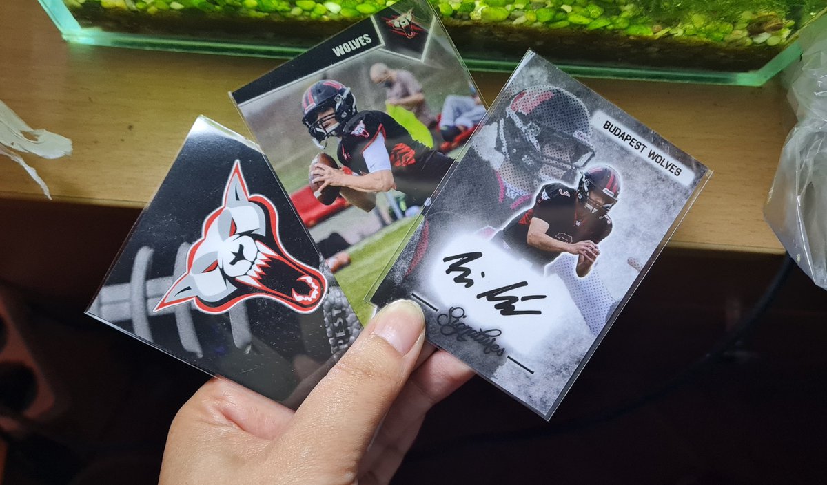 𝓡𝓮𝓷𝓲 💜 tweet media