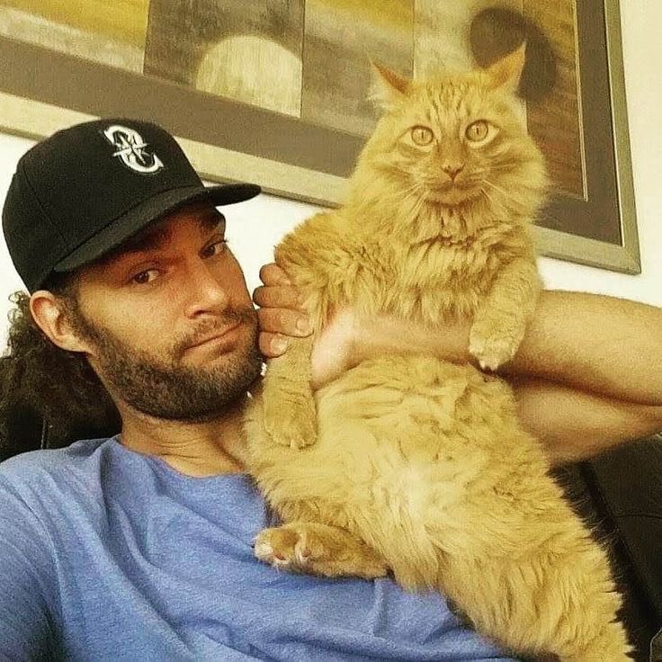 wojnameowski's tweet photo. Our basketball cat of the day is Prince Edward Zephyr (Pez)! This fluffy angel is loved by owner Robin Lopez (@OrlandoMagic ) - hey @rolopez42 how is he doing? https://t.co/hiq6BedKCM