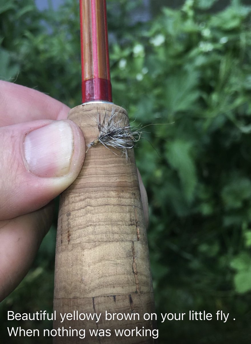 nigel_nunn's tweet photo. A fine day for @michaeljclancy on the Nadder today…

Fishing his @rawsonfishing Wandering Aengus split cane small stream special and my DFSH &amp; GQ flies. https://t.co/0E7X1YpOd5