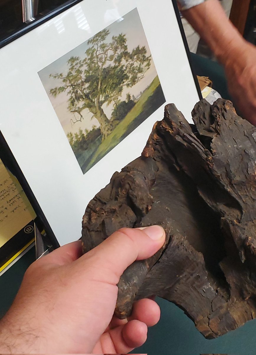 DFA New Haven tweet media