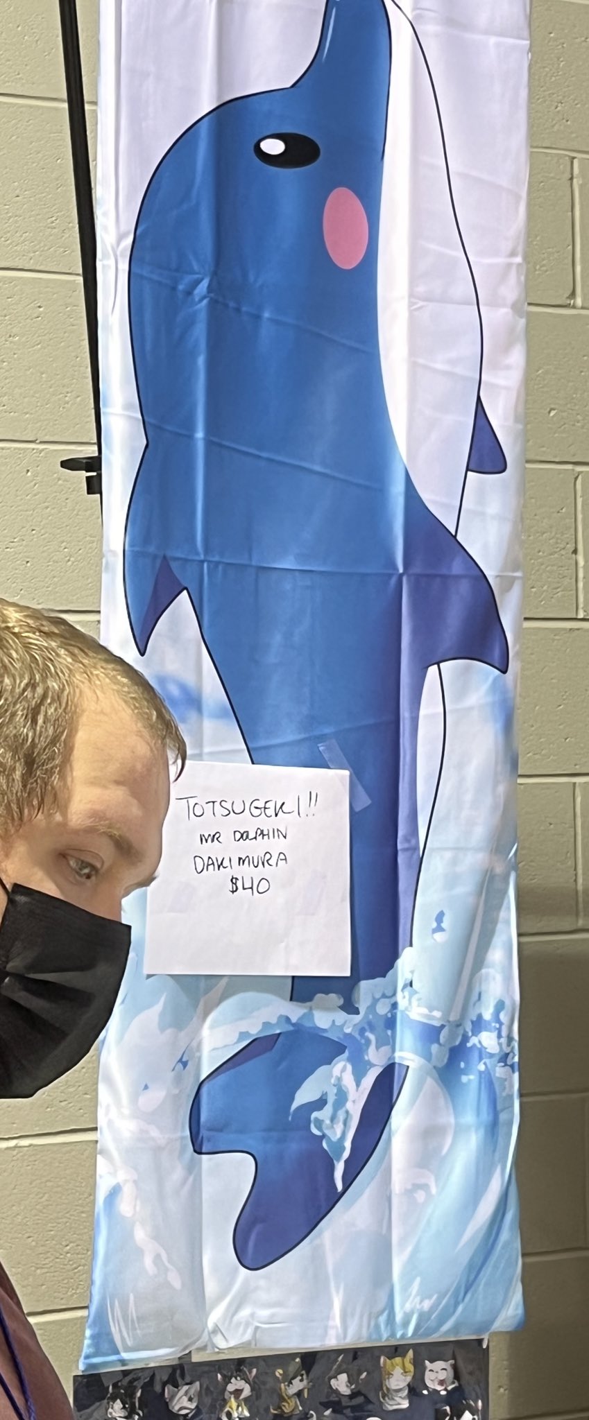 Ultima вʟм on Twitter "This is the only body pillow worth owning