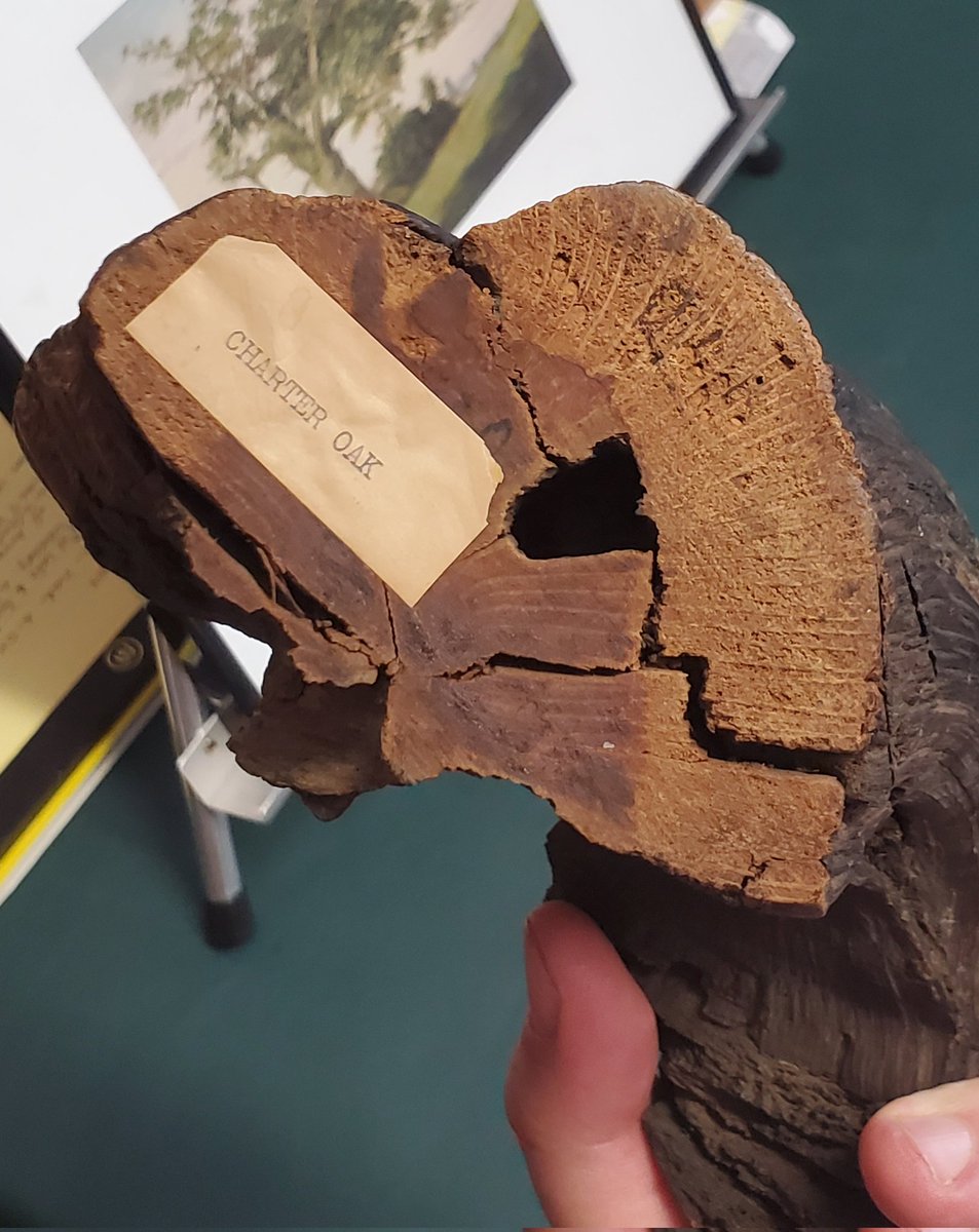 DFA New Haven tweet media