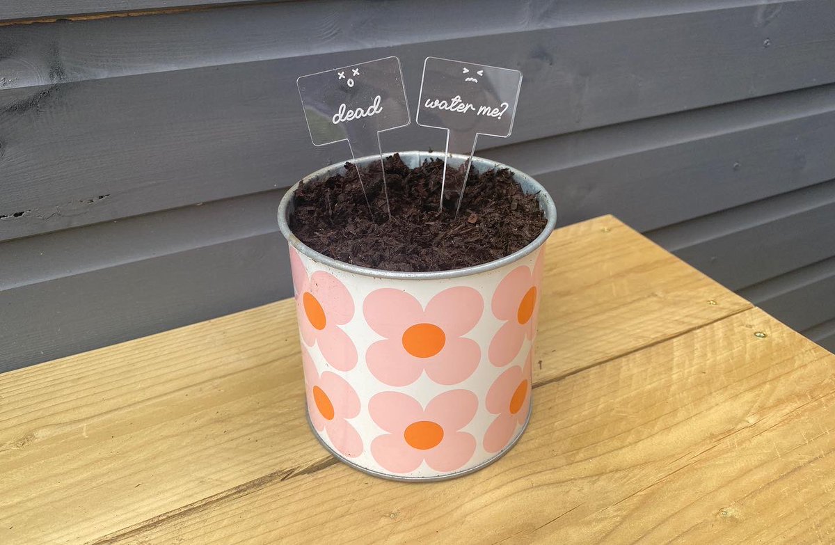 Yarnistryshop's tweet photo. Made some #plantTags they’re now in my shop and my Etsy shop #garden #agrdening #vegetables #plantTag #growYourOwn
https://t.co/hMcXDVW4lH https://t.co/qGRFq9cDku